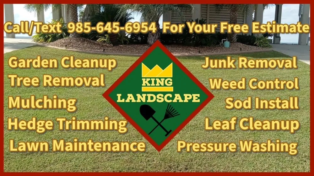 Affordable yard maintenance in Carriere, MS by King Landscape