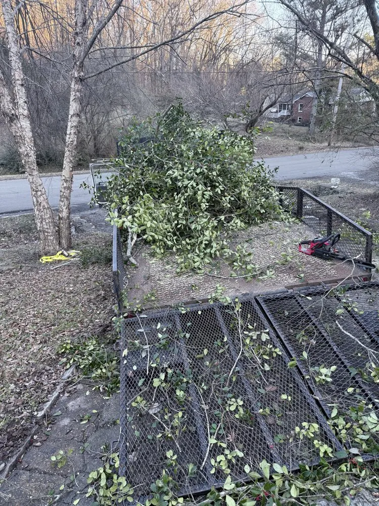 Reliable landscaping services with custom design across Nashville, TN - King Landscape