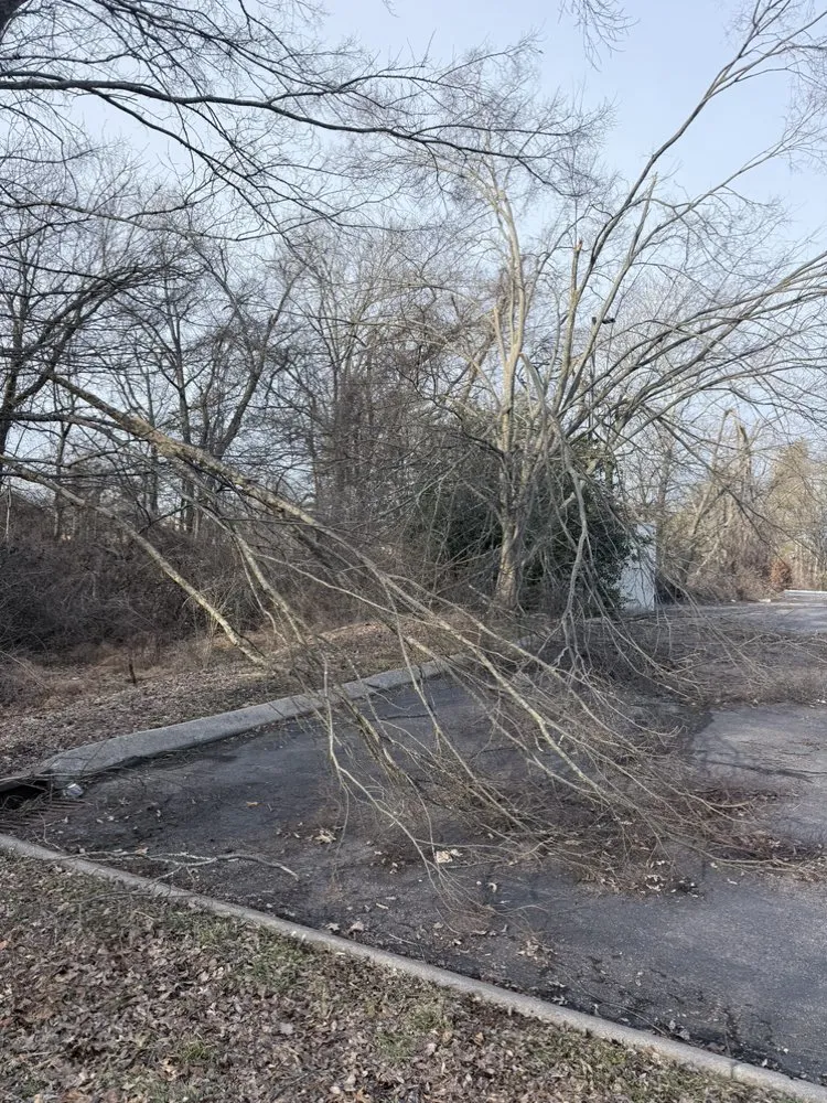 Top-rated landscape installation in Nashville, TN by King Landscape