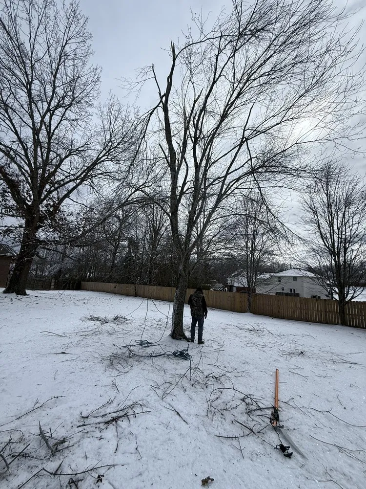 Reliable landscaping services in Nashville, TN - King Landscape