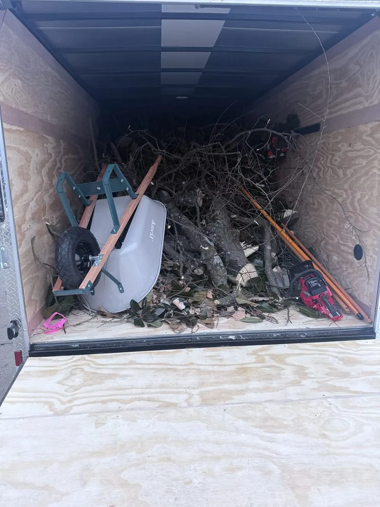 Affordable yard cleanup service for year-round maintenance in Nashville, TN by King Landscape