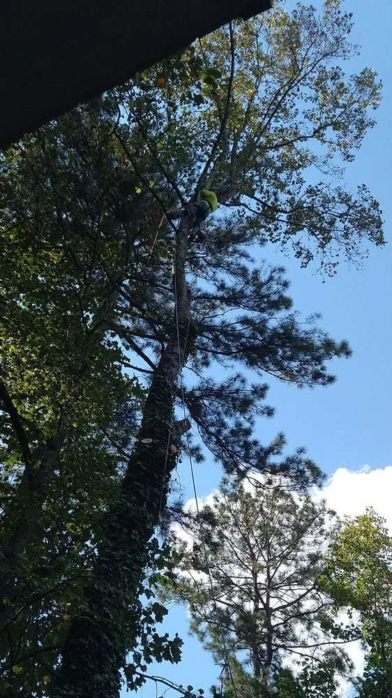 Reliable landscape installation for homes across Poway, CA - King Landscape