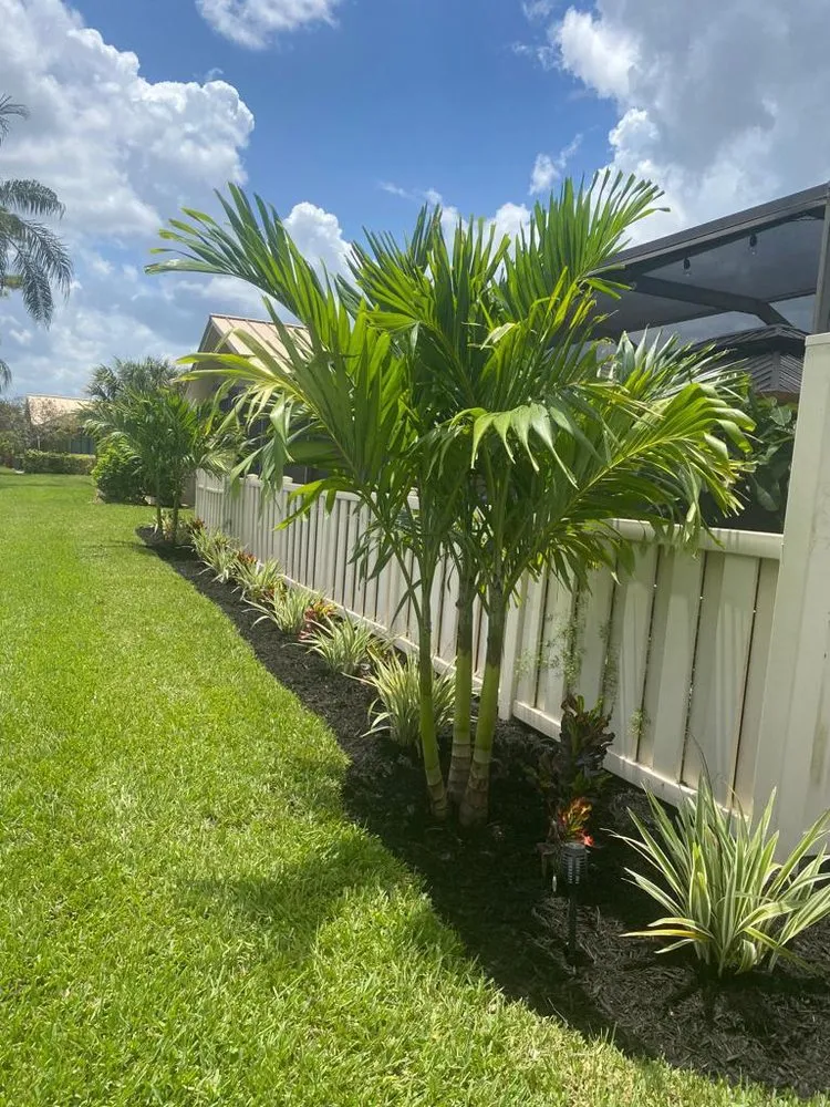 Top-rated garden landscaping experts serving Poway, CA - King Landscape