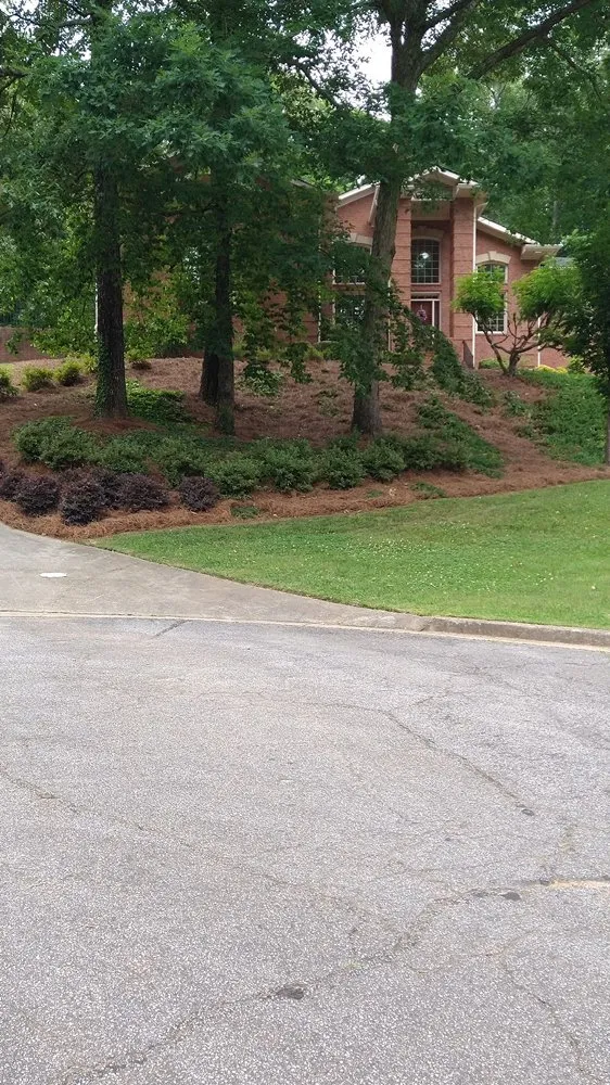 Professional outdoor landscaping experts serving Poway, CA - King Landscape