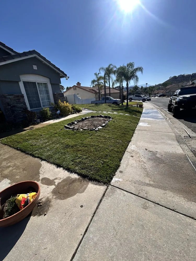 Local yard maintenance for year-round maintenance in Fallbrook, CA by King Landscaping And Tree Services