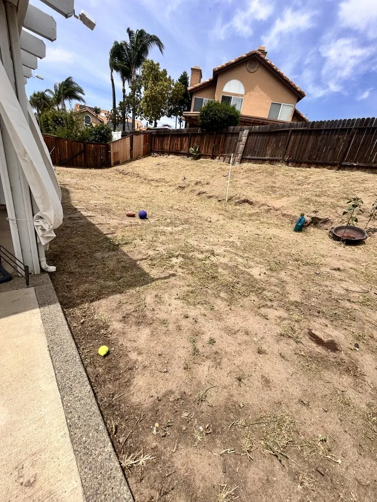 Expert landscaping services experts serving Fallbrook, CA - King Landscaping And Tree Services