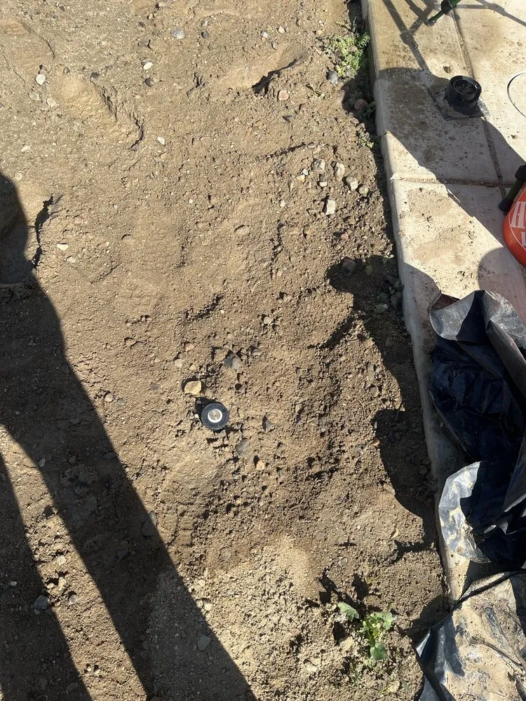 Trusted landscape design experts serving Fallbrook, CA - King Landscaping And Tree Services