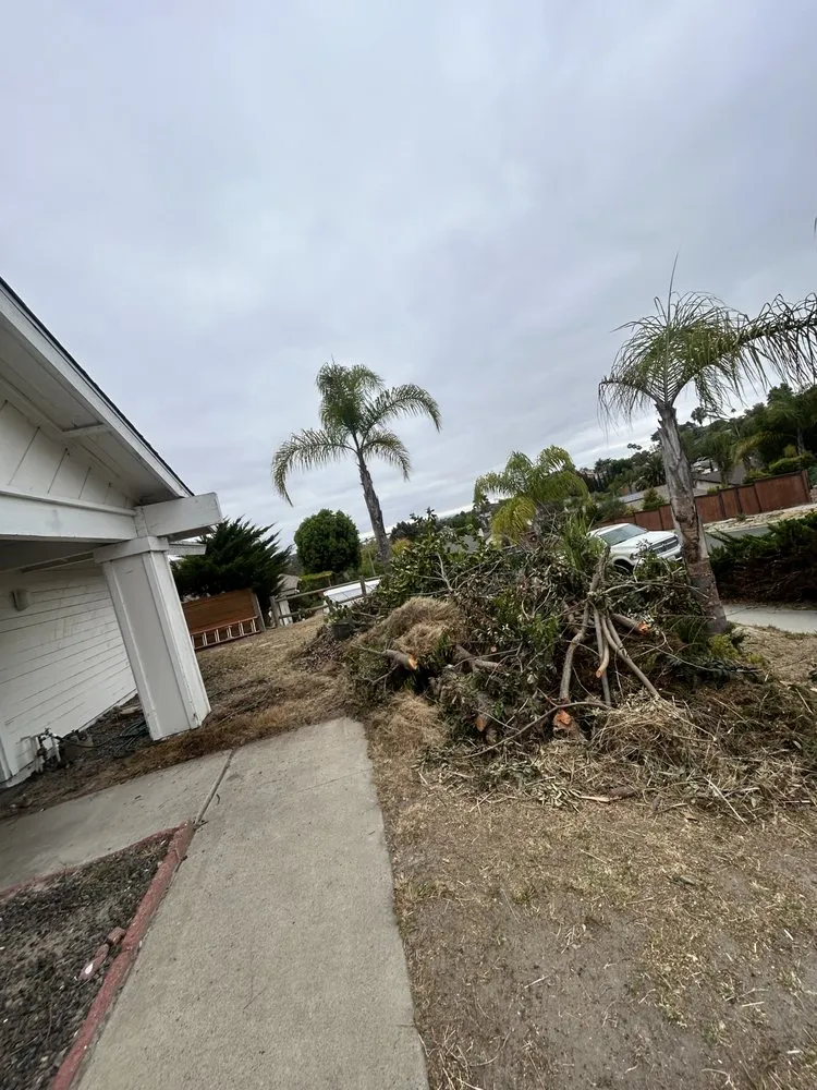 Expert landscaping services for homes in Fallbrook, CA by King Landscaping And Tree Services