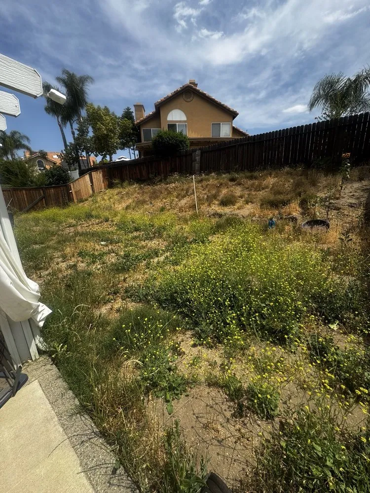 Expert landscape installation for year-round maintenance in Fallbrook, CA by King Landscaping And Tree Services