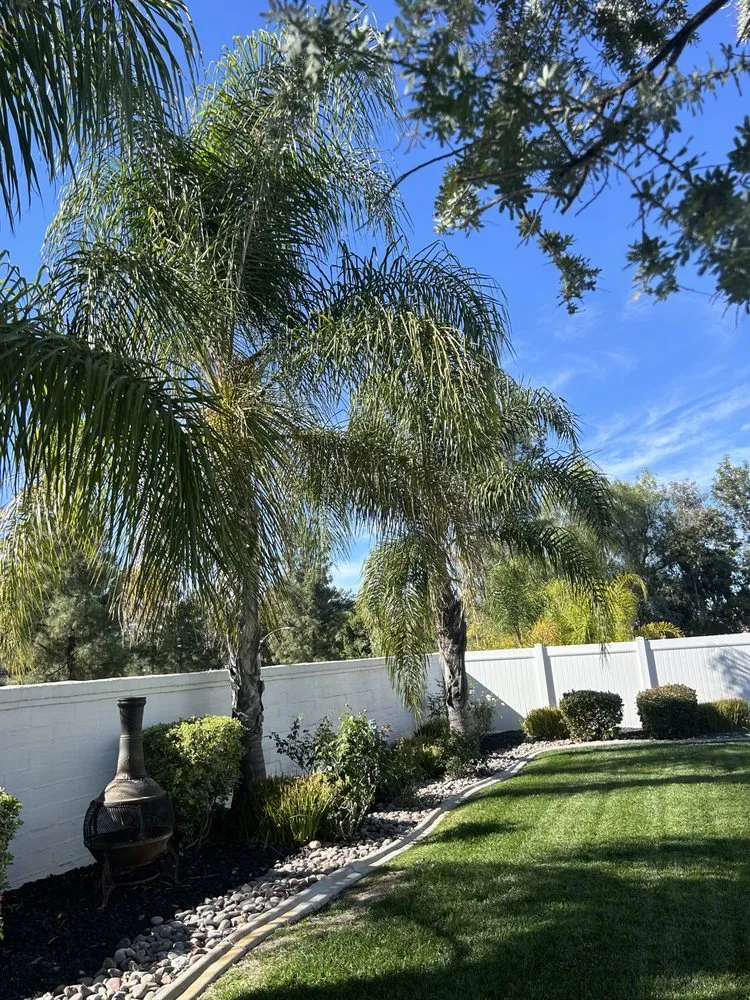 Trusted landscape installation in Fallbrook, CA by King Landscaping And Tree Services