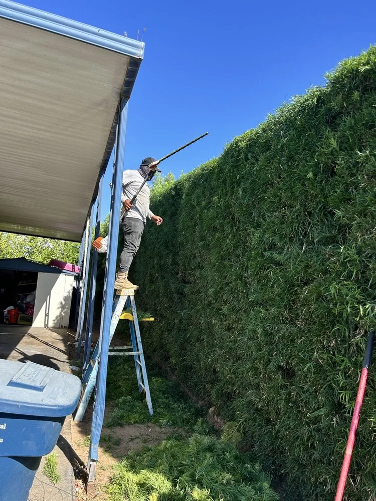 Custom outdoor landscaping in Fallbrook, CA by King Landscaping And Tree Services