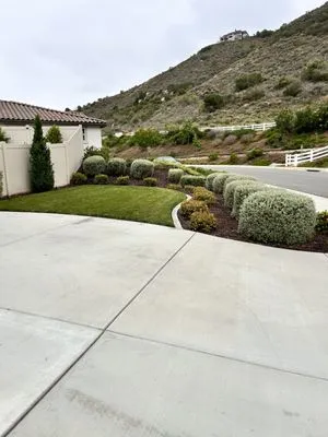 King Landscaping And Tree Services