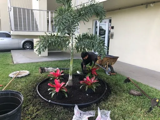 Professional landscaping services for outdoor upgrades in Atlantis, FL by King Landscaping