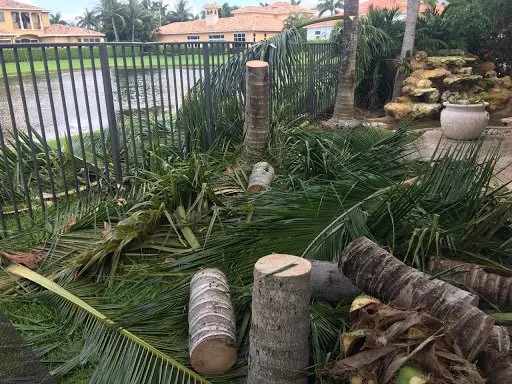 Local landscape installation for homes across Atlantis, FL - King Landscaping