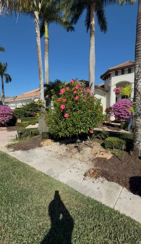 Custom landscape installation experts serving Atlantis, FL - King Landscaping