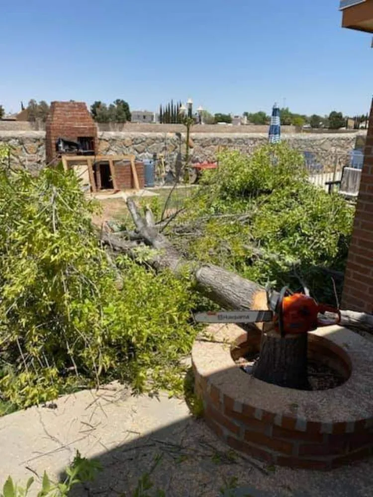 Custom lawn mowing service experts serving Canutillo, TX - King Landscaping