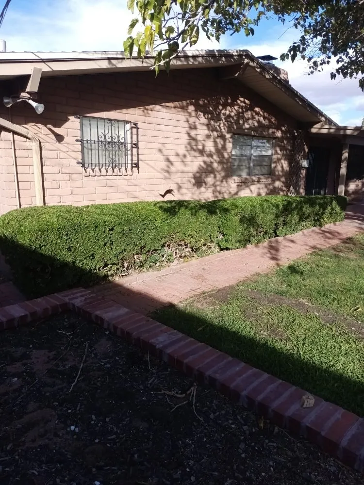 Trusted garden landscaping for outdoor upgrades in Canutillo, TX by King Landscaping