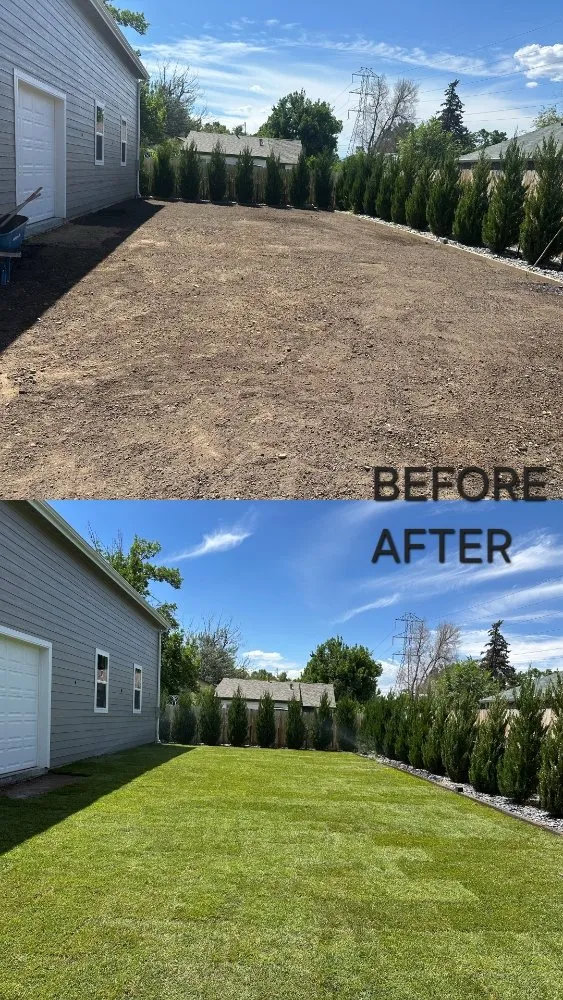 Reliable outdoor landscaping in Denver, CO - King Landscaping