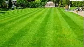 Local landscaping services experts serving Bellville, TX - King Lawn Care