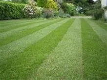 Affordable residential landscaping for residential properties in Bellville, TX by King Lawn Care