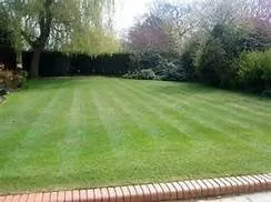 Local lawn mowing service in Bellville, TX - King Lawn Care