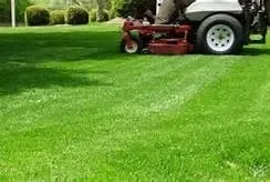 Affordable garden landscaping in Bellville, TX by King Lawn Care