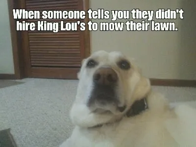 Top-rated residential landscaping in Council Bluffs, IA - King Lou's Lawn Care