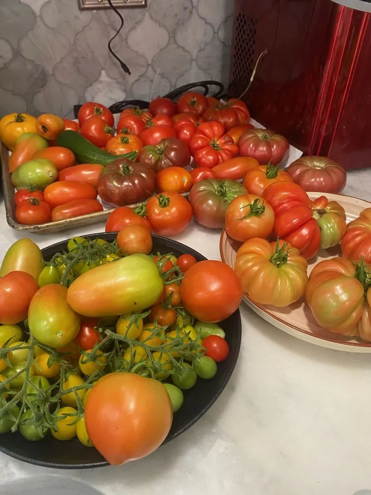 Reliable yard cleanup service experts serving King of Prussia, PA - King of Brusha Landscaping