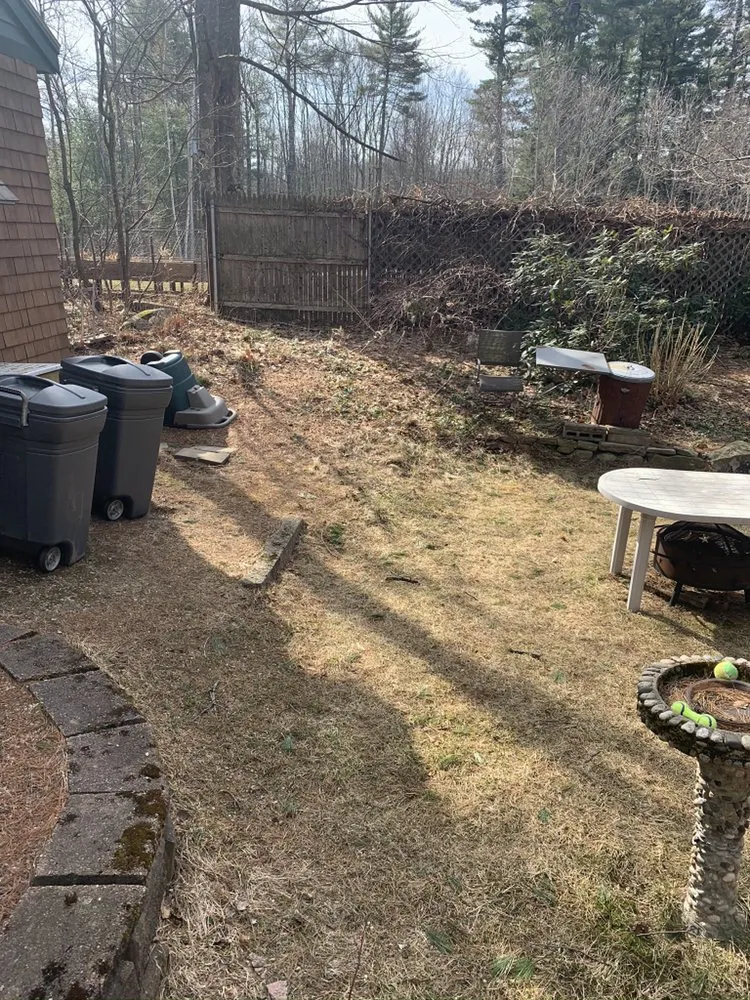 Affordable lawn care service in Barrington, NH by King Of Diamonds