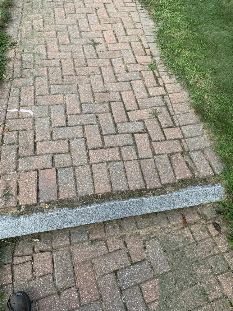 Trusted yard cleanup service for year-round maintenance across Barrington, NH - King Of Diamonds