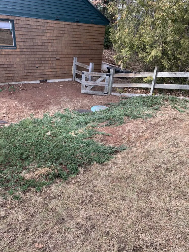 Affordable yard maintenance in Barrington, NH - King Of Diamonds