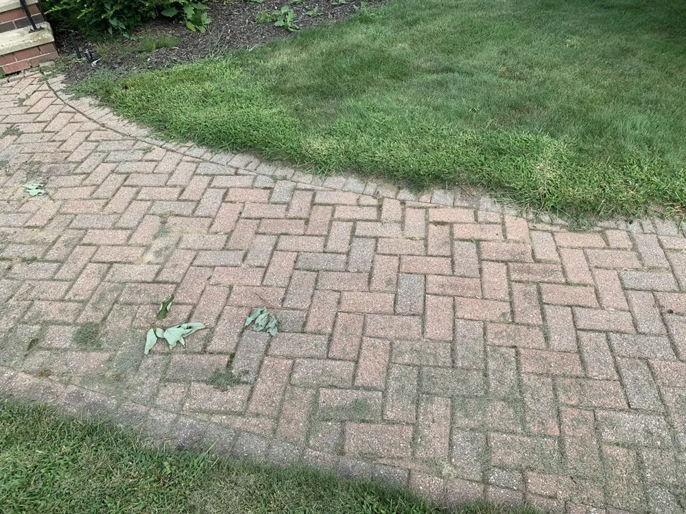 Top-rated landscape installation for beautiful yards in Barrington, NH by King Of Diamonds