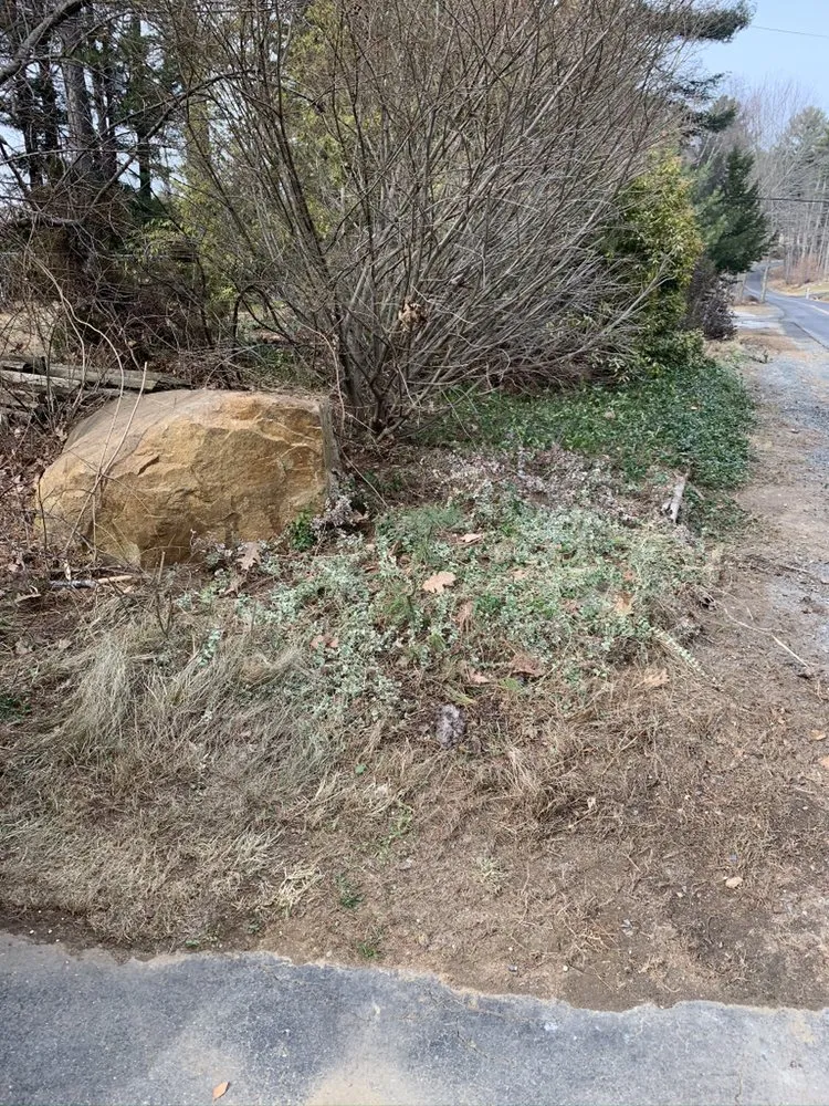 Top-rated yard maintenance for homes in Barrington, NH by King Of Diamonds