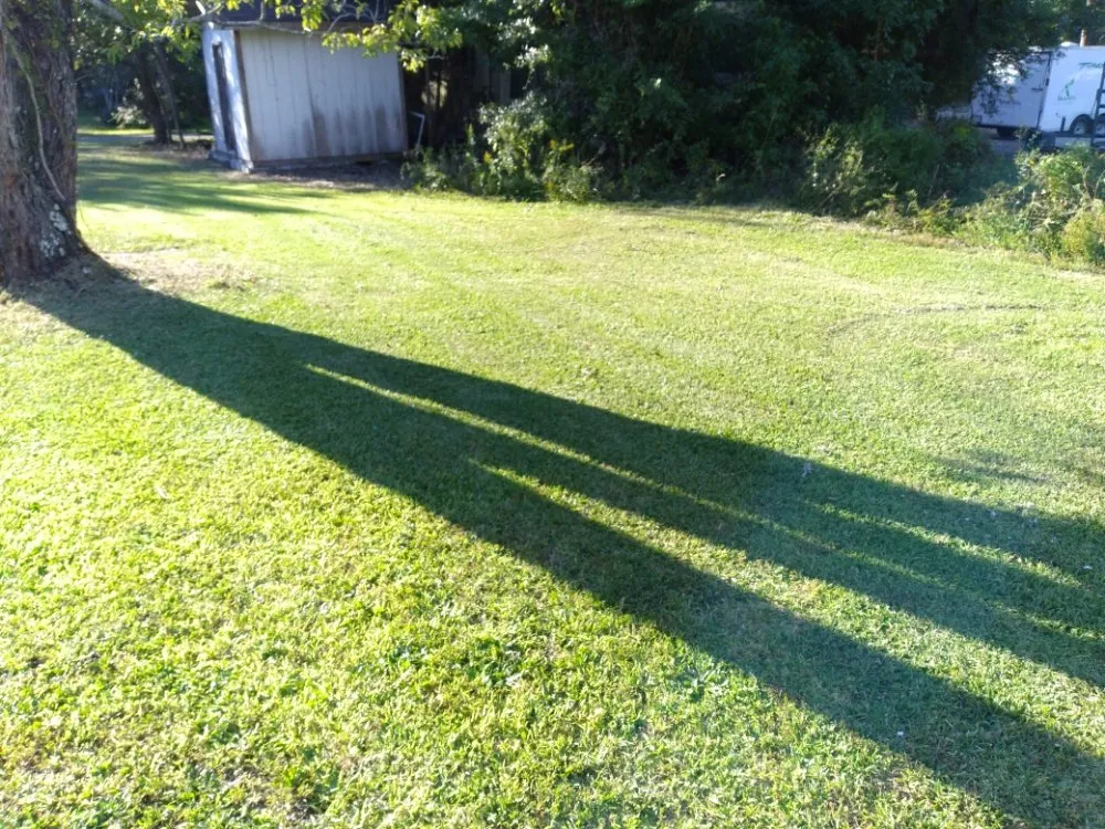 Custom landscape design in Murrells Inlet, SC by King Of Green Lawncare And Outdoor Service