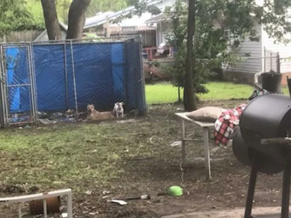 Affordable landscaping services for beautiful yards in Murrells Inlet, SC by King Of Green Lawncare And Outdoor Service