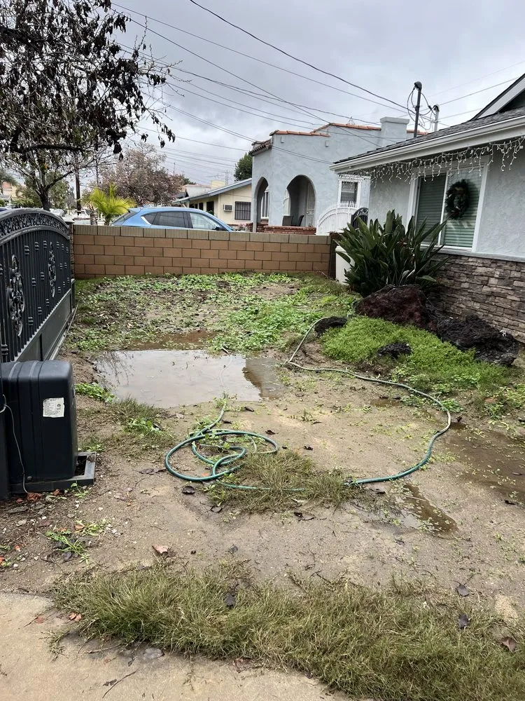 Top-rated yard cleanup service in Upland, CA by King of Kings Concrete