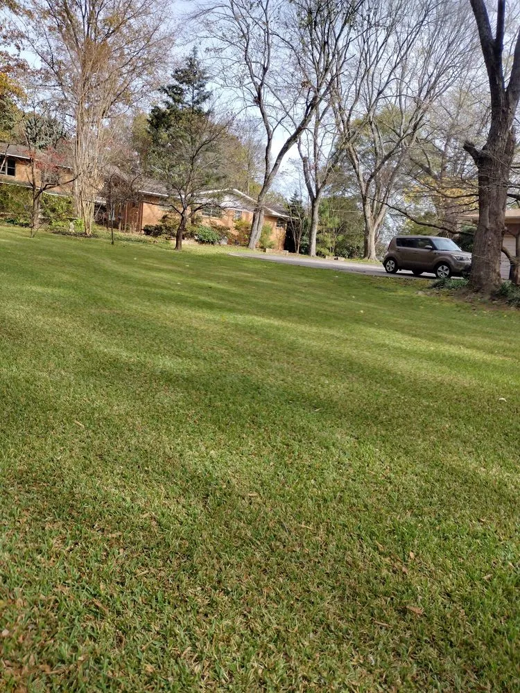 Local lawn mowing service for year-round maintenance in Huntsville, AL by King Of Kings Multi Service