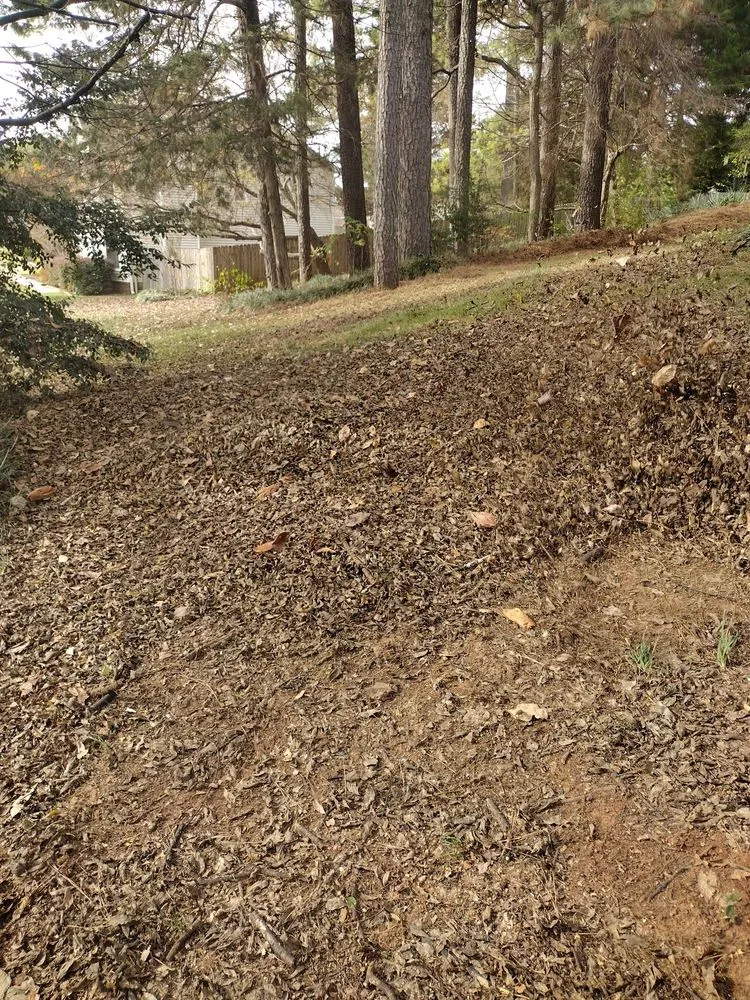 Reliable yard maintenance for homes across Huntsville, AL - King Of Kings Multi Service