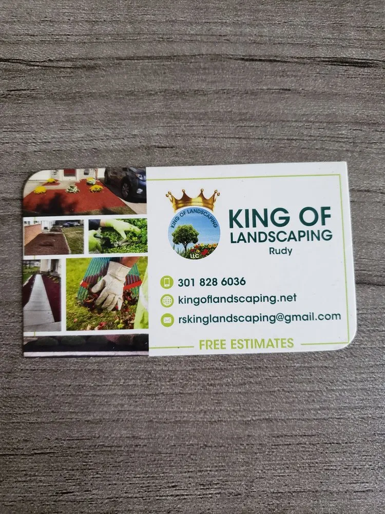 Local landscape design for residential properties across Clarksburg, MD - King of landscaping
