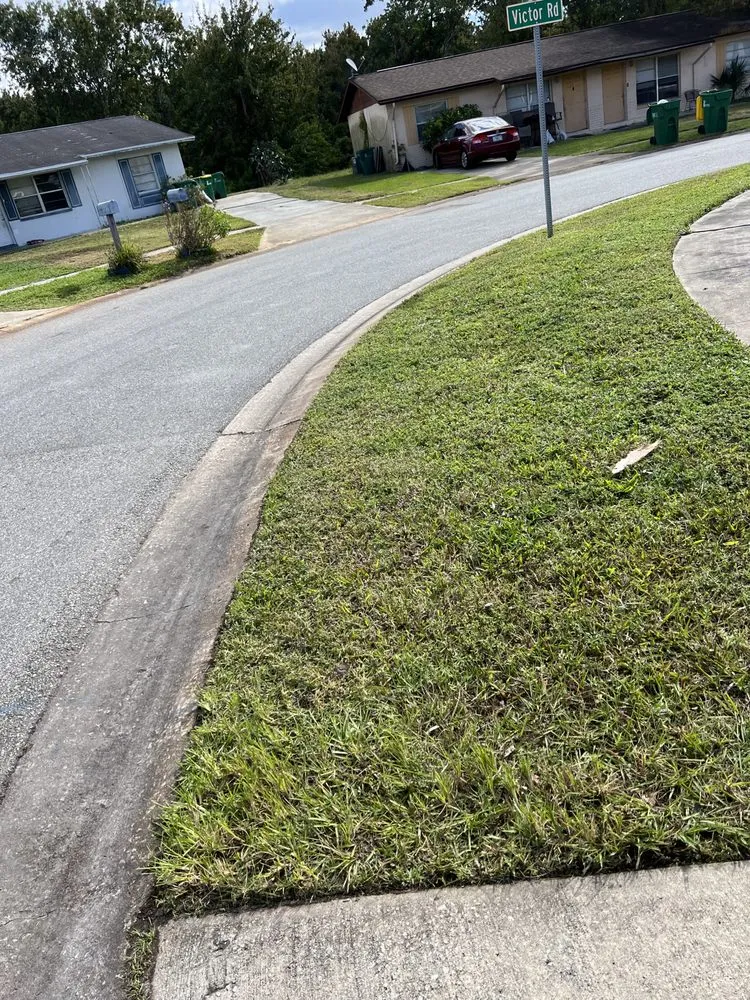 Custom lawn care service for year-round maintenance in Melbourne, FL by King of lawns lawn care services