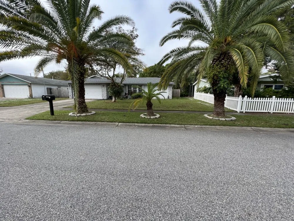 Reliable yard cleanup service for outdoor upgrades in Melbourne, FL by King of lawns lawn care services