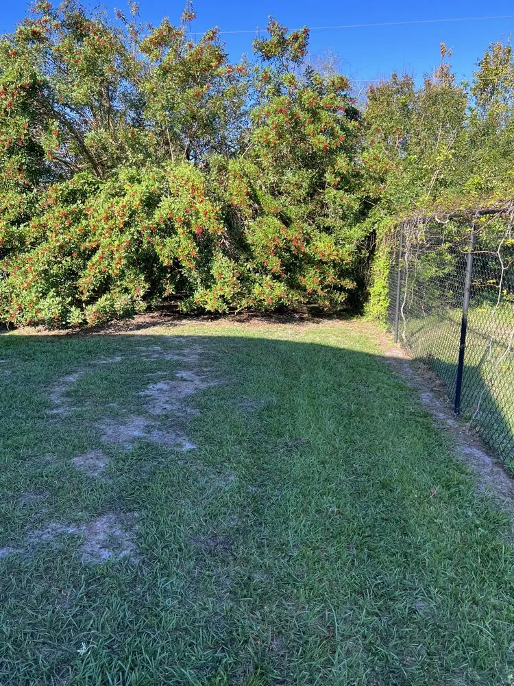 Affordable yard maintenance experts serving Melbourne, FL - King of lawns lawn care services