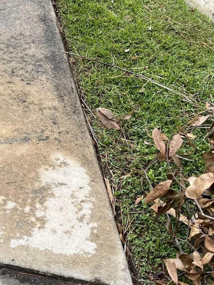 Trusted landscaping services in Melbourne, FL by King of lawns lawn care services