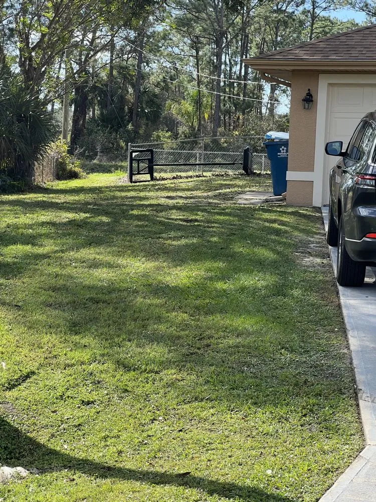 Professional yard maintenance experts serving Melbourne, FL - King of lawns lawn care services