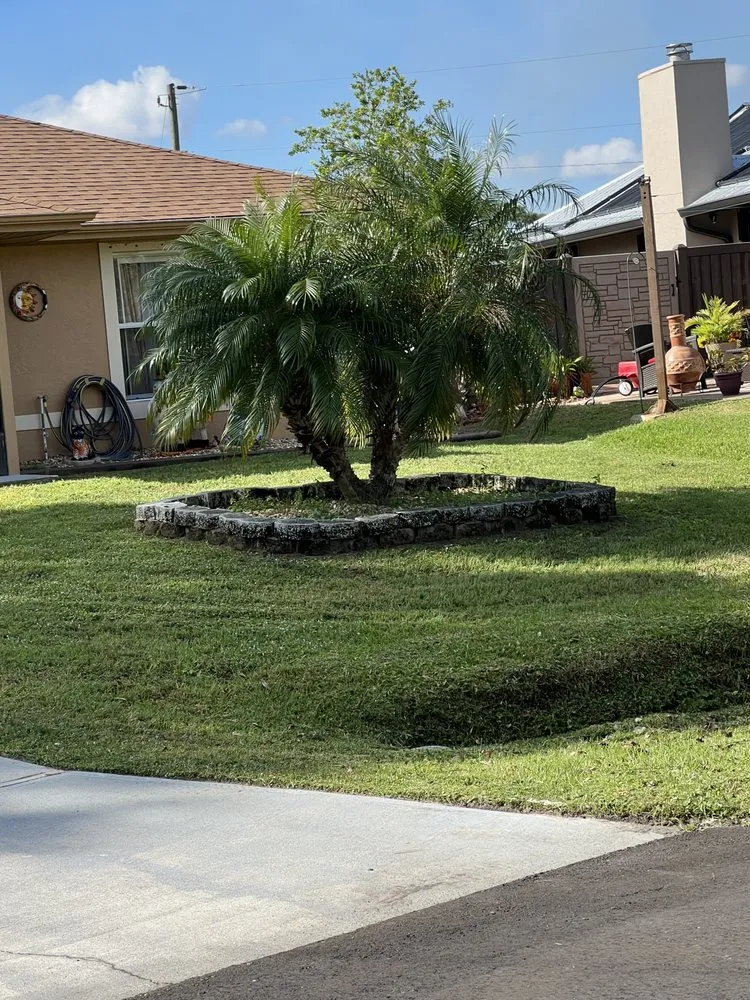 Top-rated lawn care service in Melbourne, FL by King of lawns lawn care services