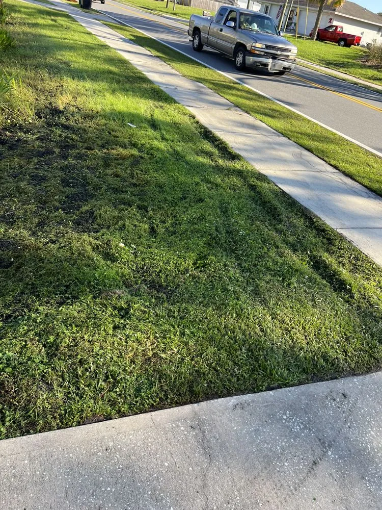Reliable landscape design in Melbourne, FL - King of lawns lawn care services