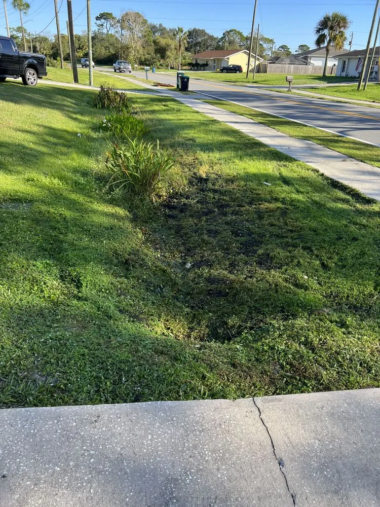 Local residential landscaping in Melbourne, FL - King of lawns lawn care services