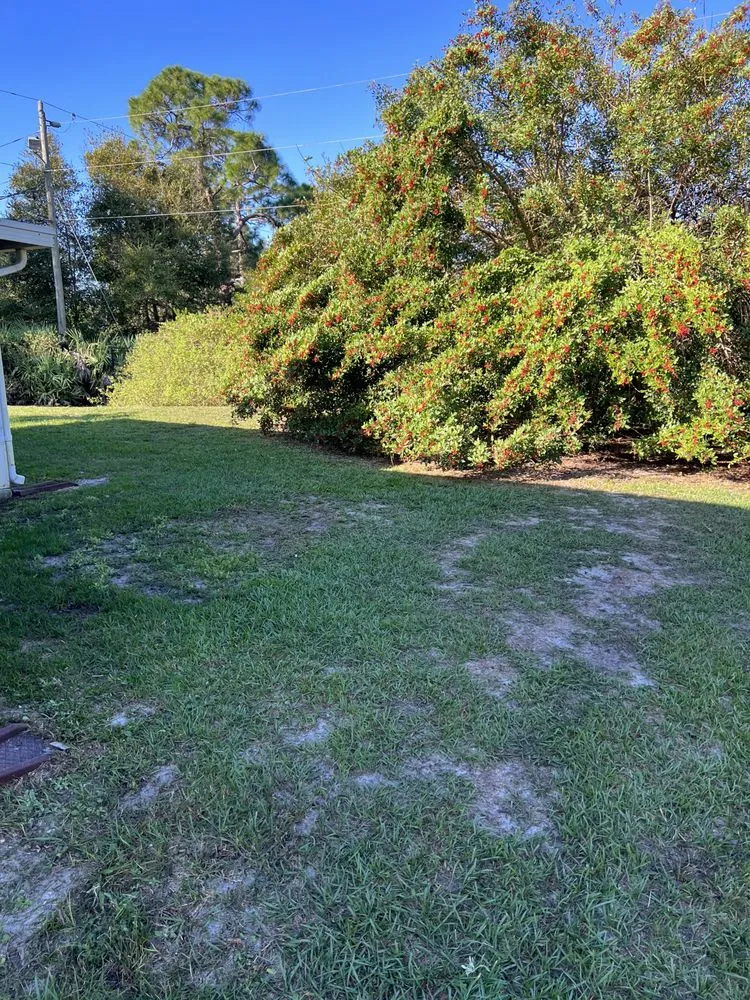 Custom landscape installation in Melbourne, FL - King of lawns lawn care services