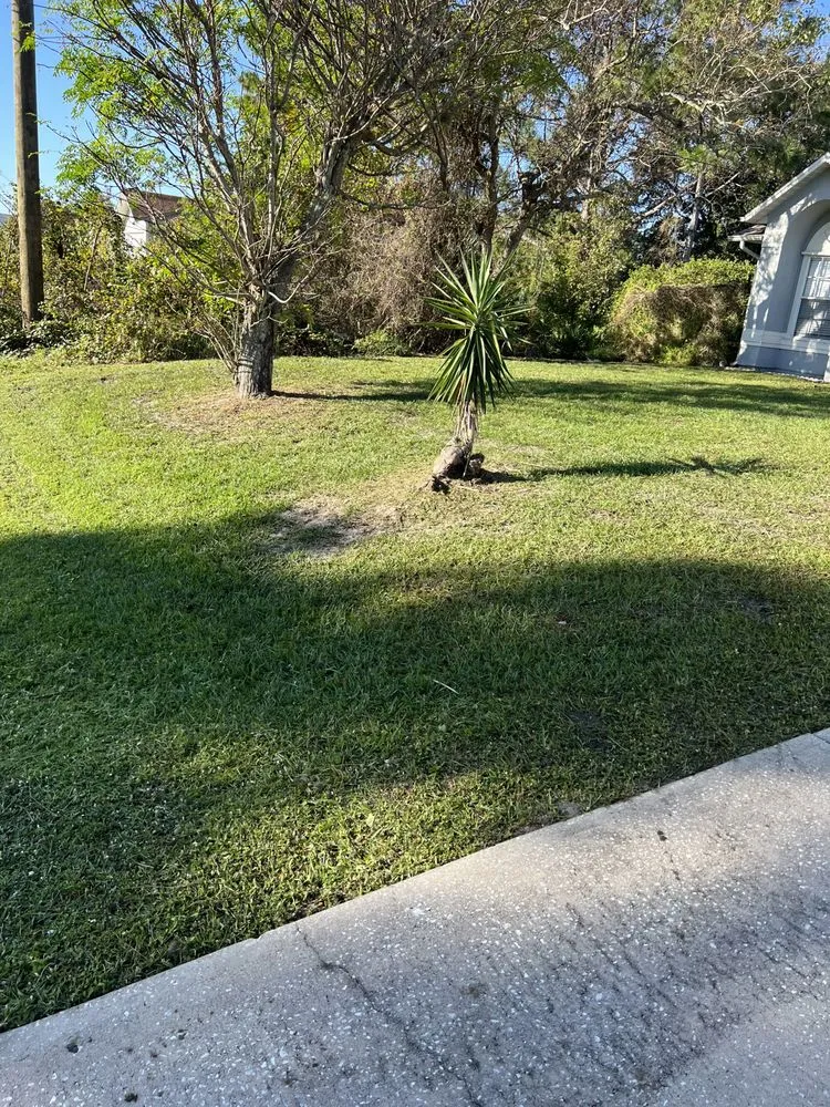 Trusted landscape design for outdoor upgrades in Melbourne, FL by King of lawns lawn care services