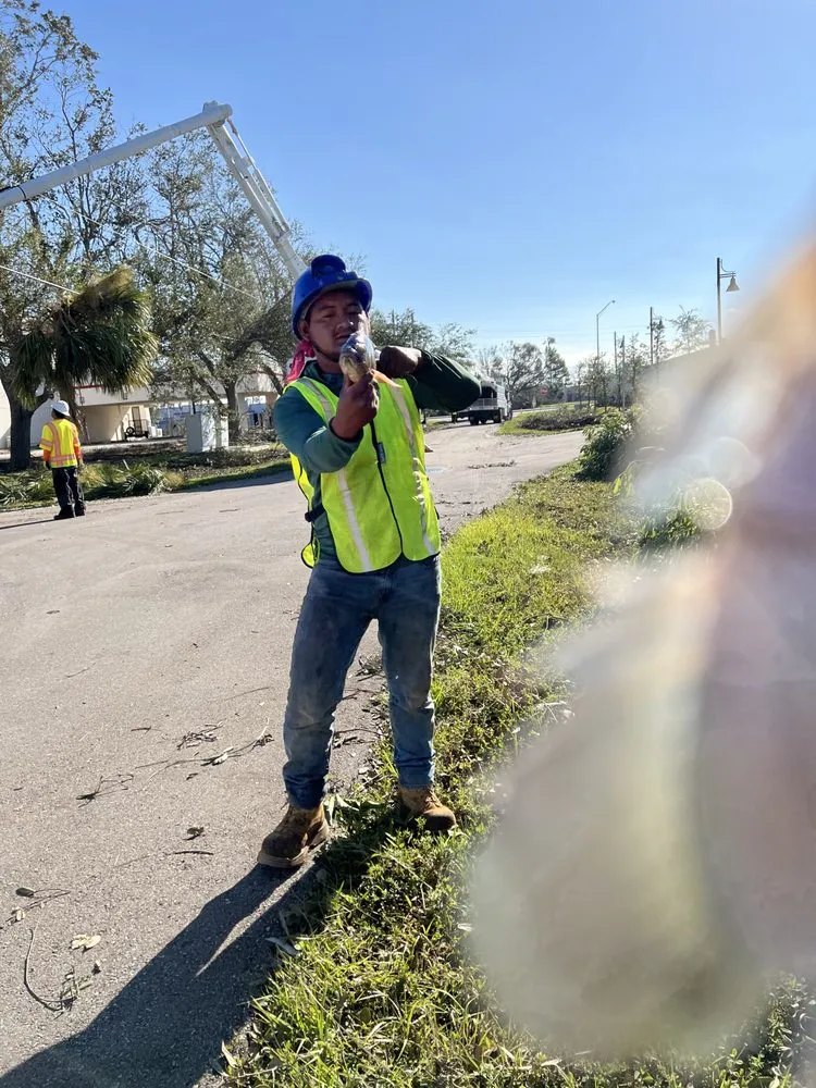 Professional landscape design in Sanford, FL by King of Nature Landscaping & Tree Services